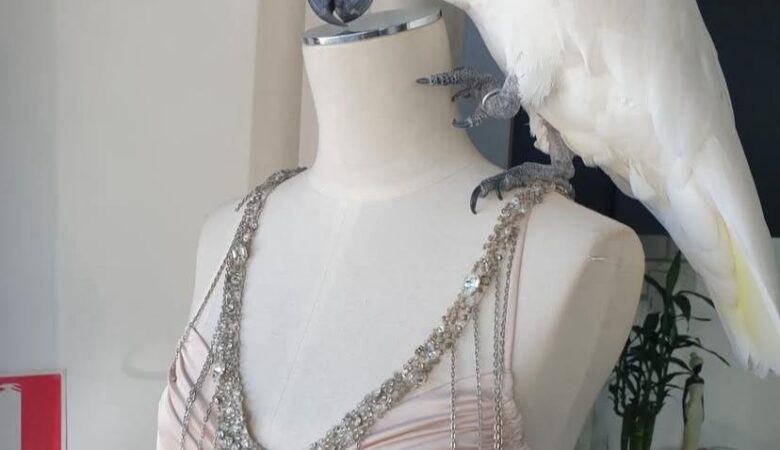 How do I stop a cockatoo from biting?