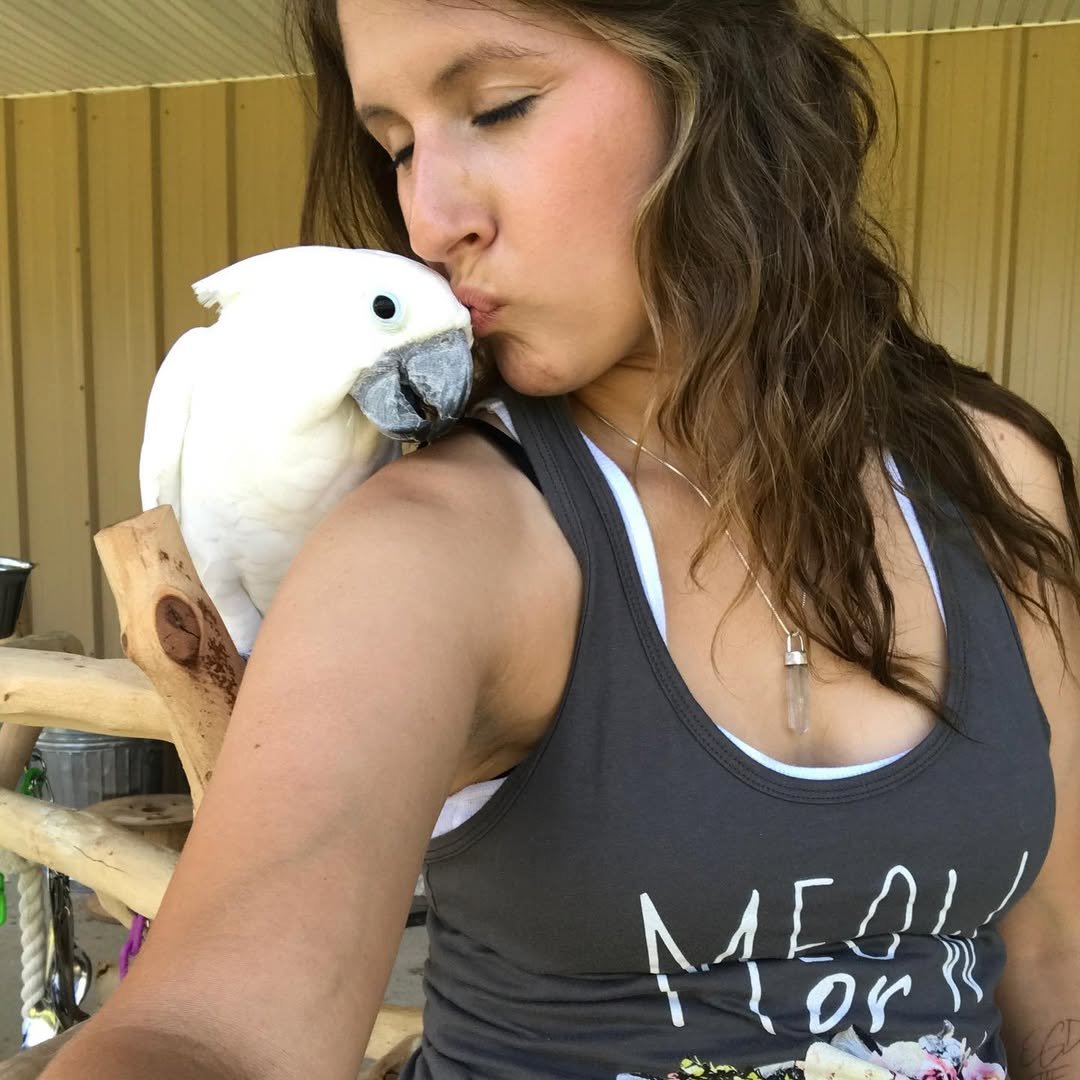 Cockatoo breeders in France