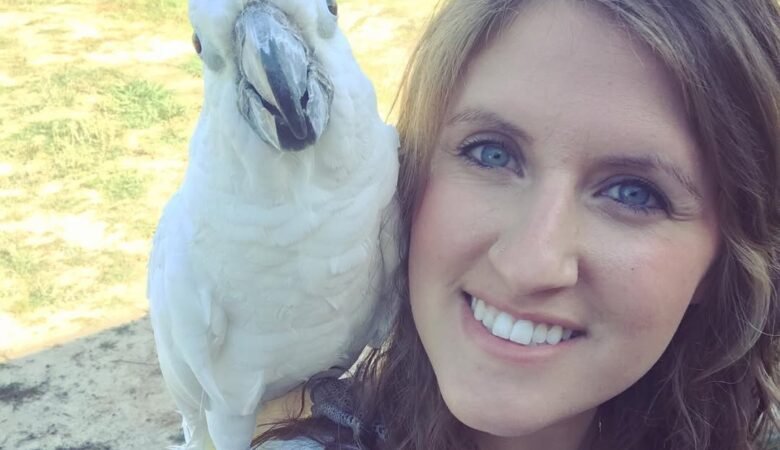 Cockatoo birds in Rhode Island