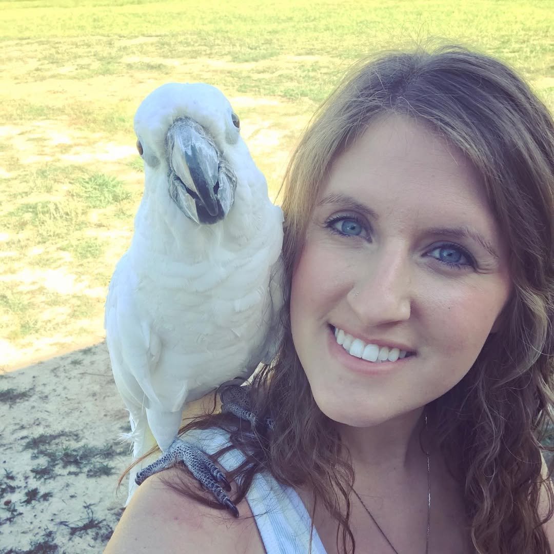 Cockatoo breeders in New Zealand