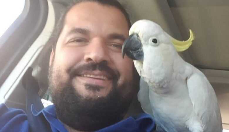Cockatoo parrots for sale in Tennessee