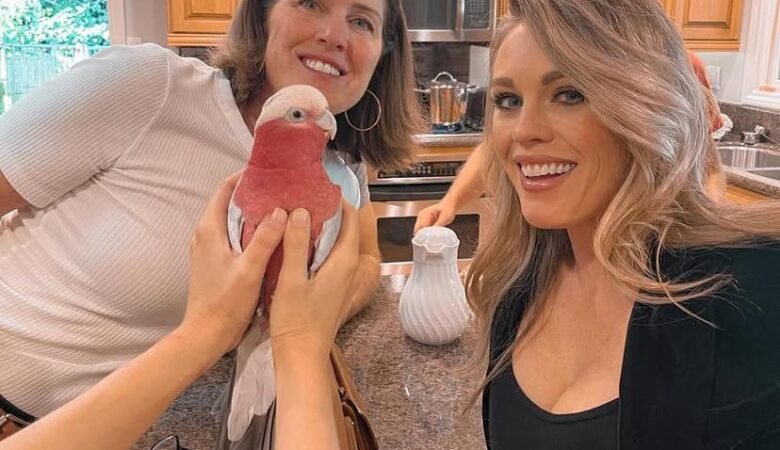 cockatoos for sale in Daly City, CA