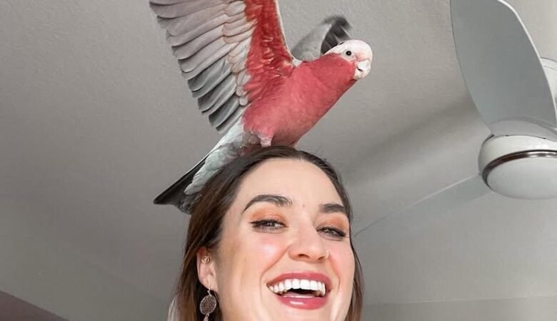 cockatoos for sale in Jurupa Valley, CA