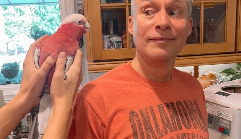 Cockatoos in Alabama