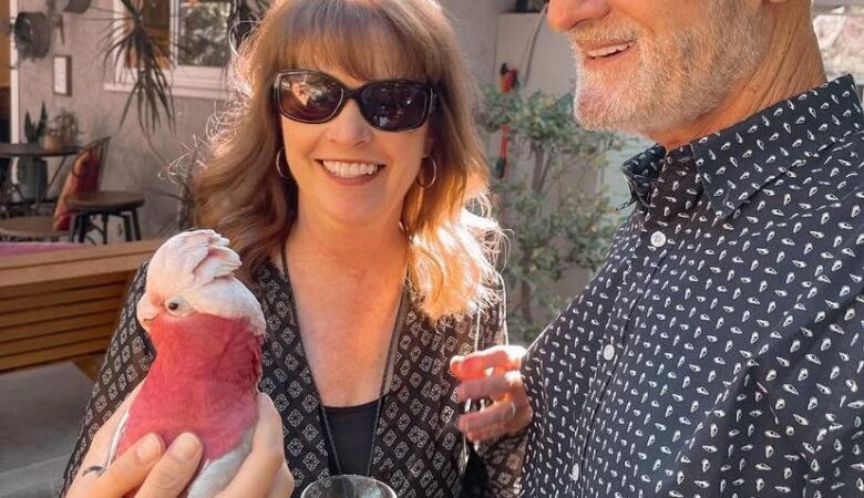 Cockatoos in Ireland